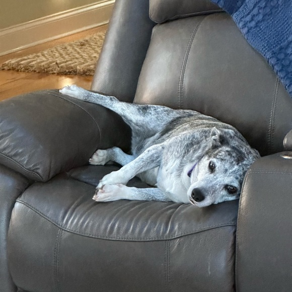 Meet your Posher, Ivette - Picture 6 of 7